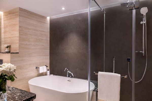 Sofitel Cairo Downtown Nile image 26